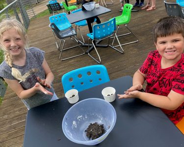 Alternative text should describe the visual content of the image.