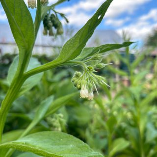 Alternative text should describe the visual content of the image.