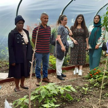 Alternative text should describe the visual content of the image.