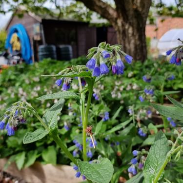 Alternative text should describe the visual content of the image.