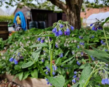 Alternative text should describe the visual content of the image.