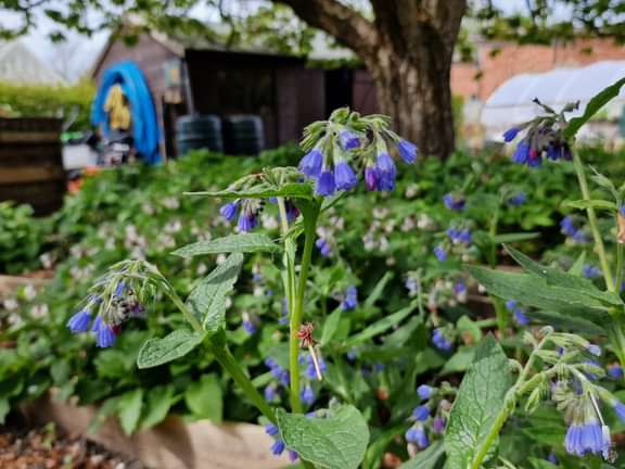 Alternative text should describe the visual content of the image.