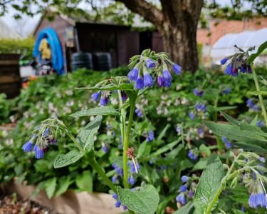 Alternative text should describe the visual content of the image.