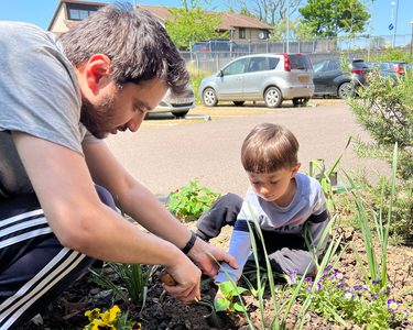 Alternative text should describe the visual content of the image.