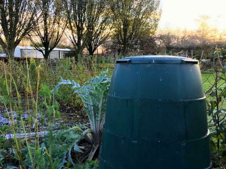 Compost bin in the morning frost