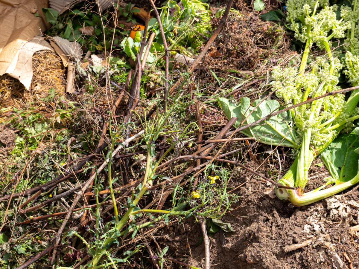 Compost ingredients in the heap