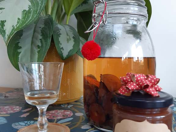 Alternative text should describe the visual content of the image.