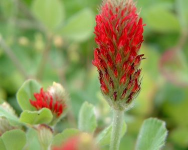 Alternative text should describe the visual content of the image.