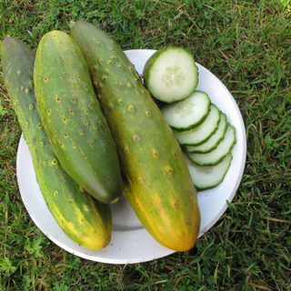 Alternative text should describe the visual content of the image.