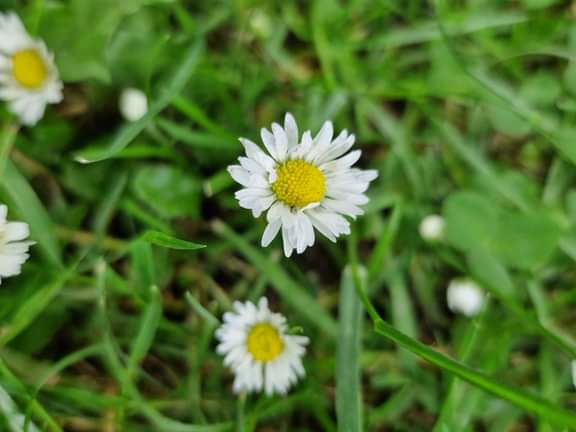 Alternative text should describe the visual content of the image.