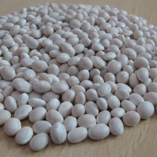 Alternative text should describe the visual content of the image.