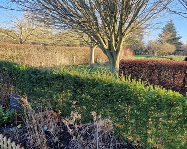 Alternative text should describe the visual content of the image.