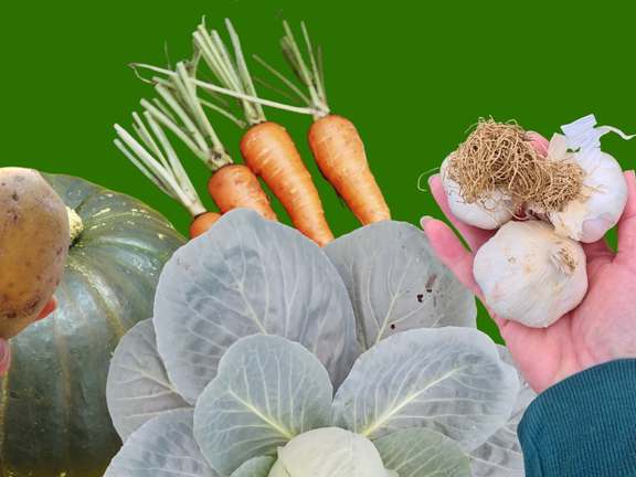 Alternative text should describe the visual content of the image.