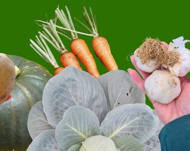 Alternative text should describe the visual content of the image.