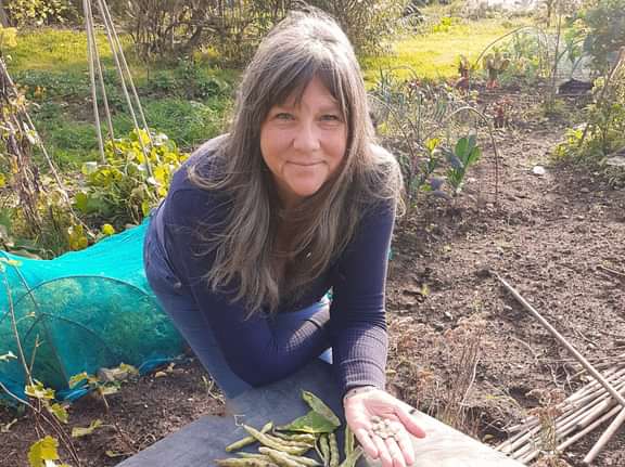 Alternative text should describe the visual content of the image.