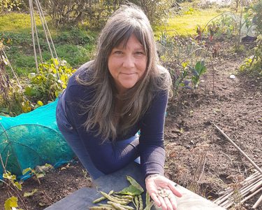 Alternative text should describe the visual content of the image.