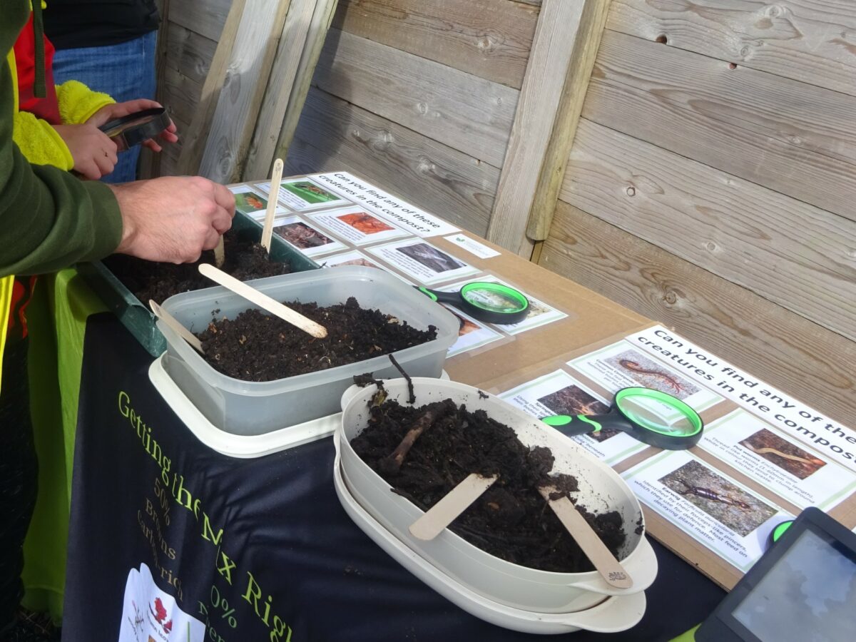 Tubs of compost with lollipop sticks in them.