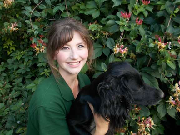 Alternative text should describe the visual content of the image.