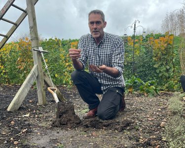 Alternative text should describe the visual content of the image.