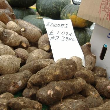 Alternative text should describe the visual content of the image.