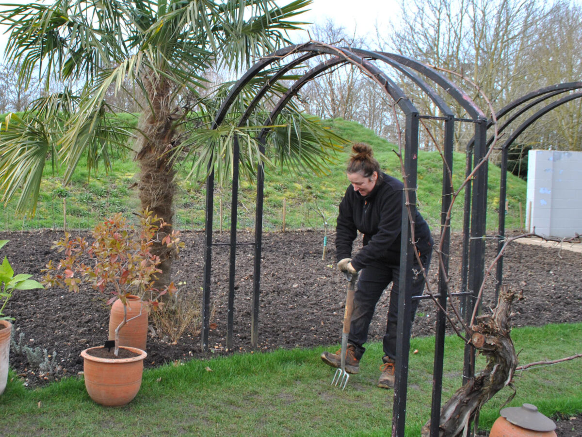 Emma aerating the lawn