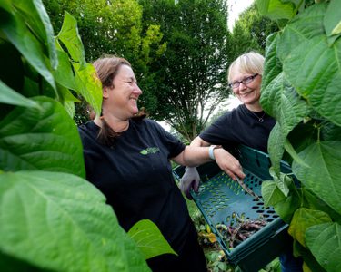 Alternative text should describe the visual content of the image.