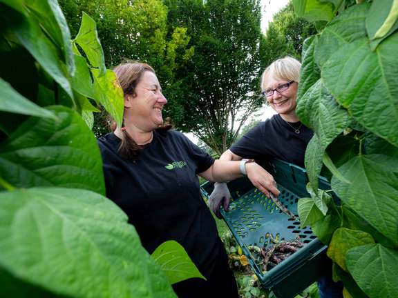 Alternative text should describe the visual content of the image.