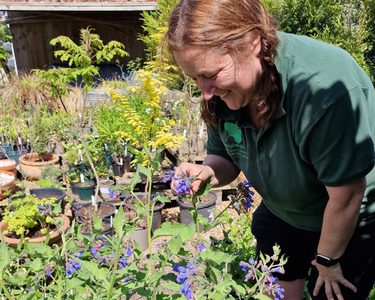 Alternative text should describe the visual content of the image.