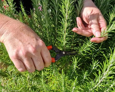 Alternative text should describe the visual content of the image.