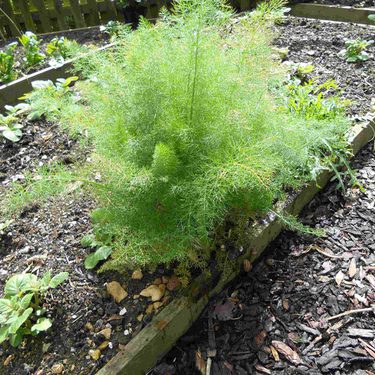 Alternative text should describe the visual content of the image.