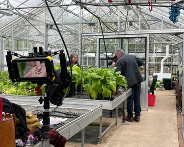 Alternative text should describe the visual content of the image.