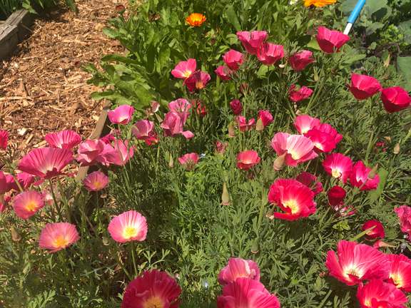 Alternative text should describe the visual content of the image.