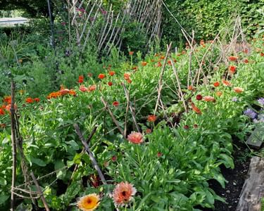 Alternative text should describe the visual content of the image.