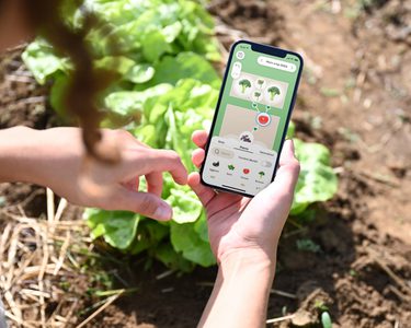 Alternative text should describe the visual content of the image.