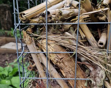 Alternative text should describe the visual content of the image.