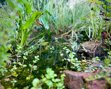 Alternative text should describe the visual content of the image.