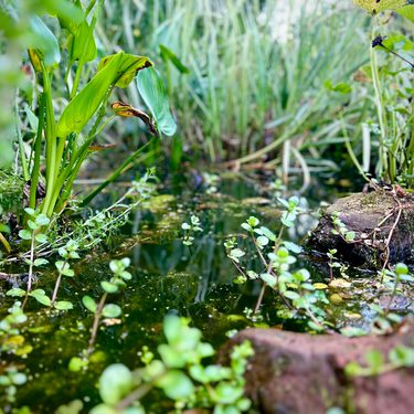 Alternative text should describe the visual content of the image.