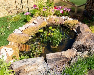 Alternative text should describe the visual content of the image.