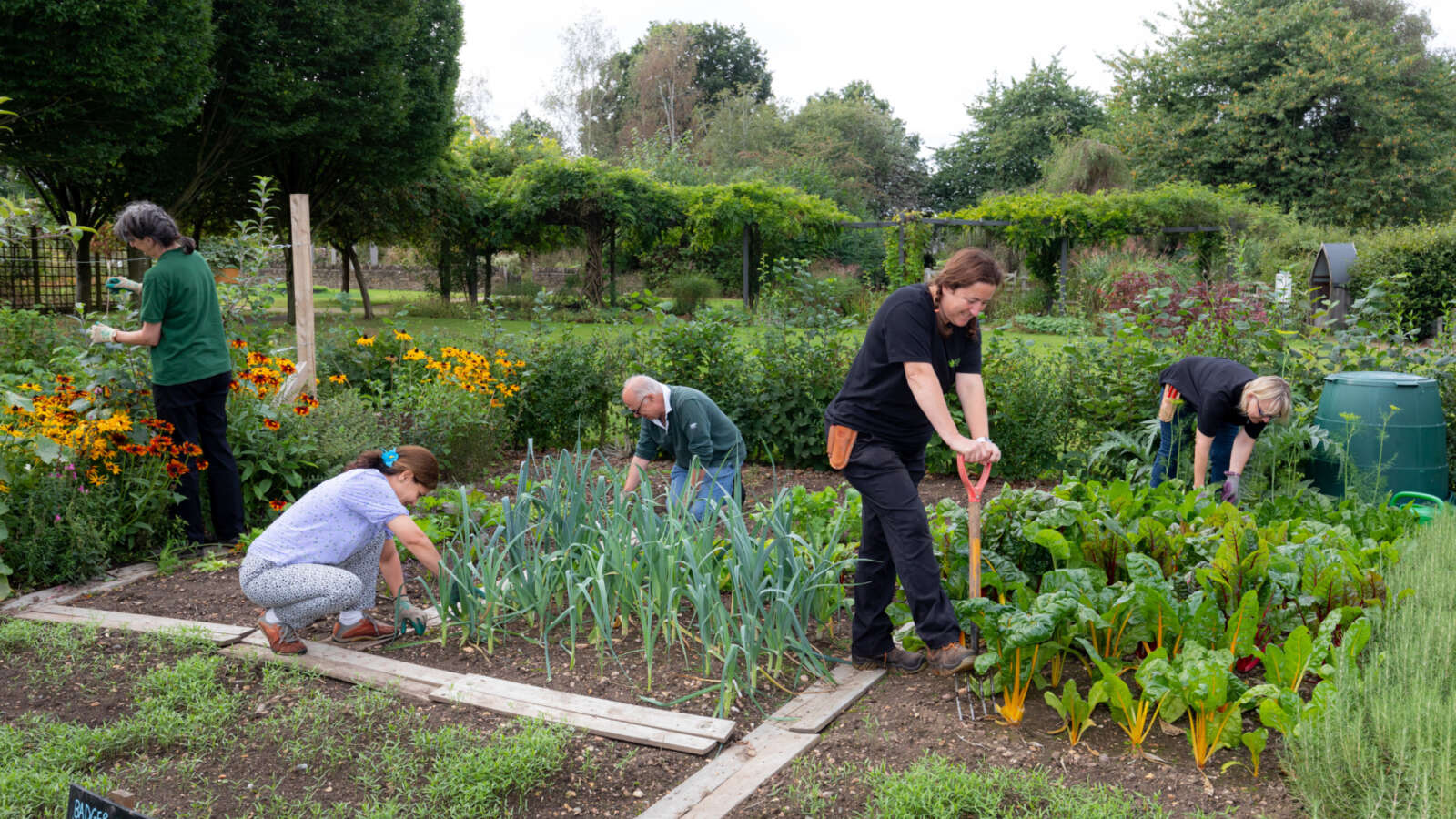 Volunteers working in the gardens