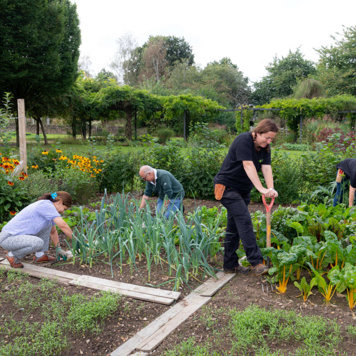 Volunteers working in the gardens