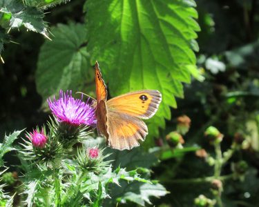 Alternative text should describe the visual content of the image.