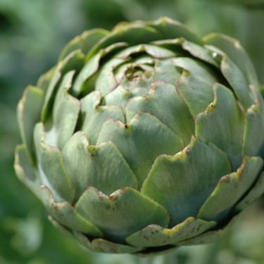 Alternative text should describe the visual content of the image.