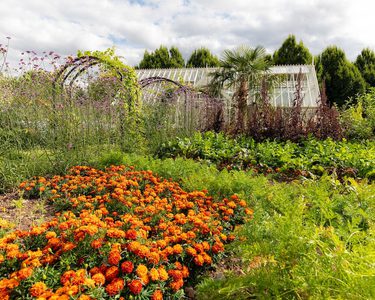 Alternative text should describe the visual content of the image.