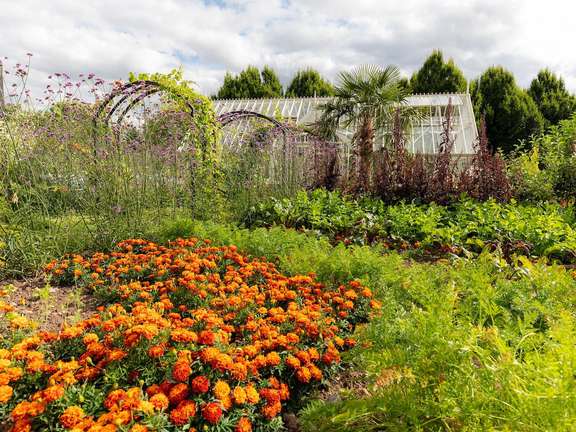 Alternative text should describe the visual content of the image.