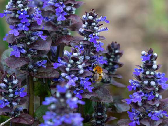 Alternative text should describe the visual content of the image.