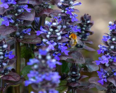 Alternative text should describe the visual content of the image.