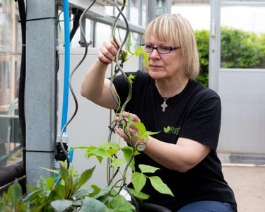 Alternative text should describe the visual content of the image.