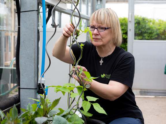 Alternative text should describe the visual content of the image.