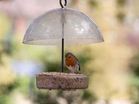 Alternative text should describe the visual content of the image.