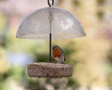 Alternative text should describe the visual content of the image.